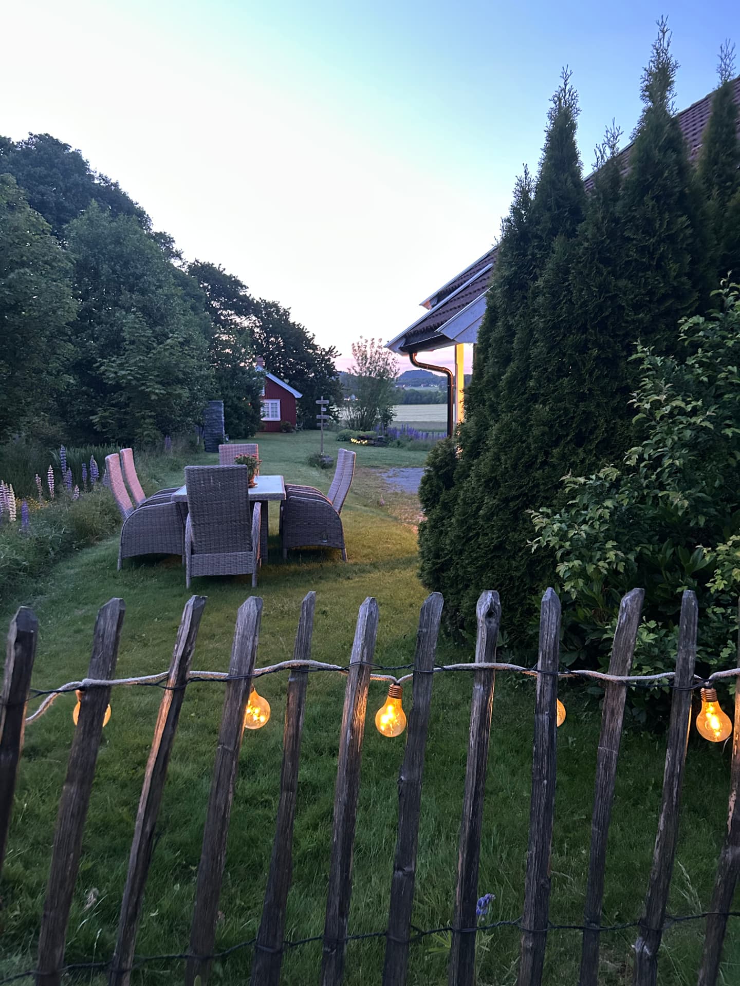 Evening in the garden with string lights