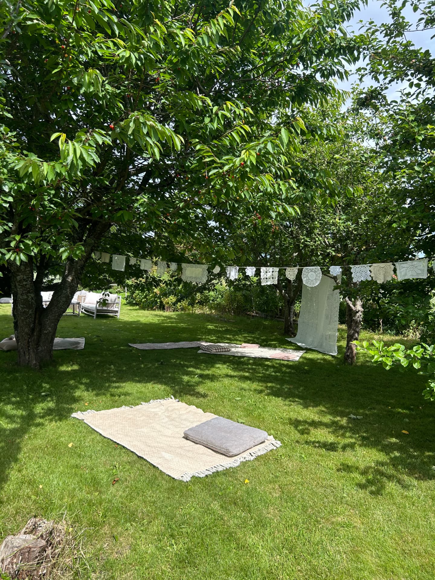 Picnic blankets and decorations under the cherry trees